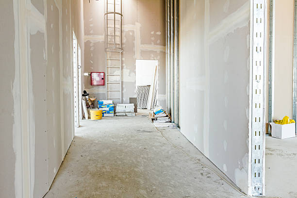Mold Remediation for Vacation Homes in Hiller, PA